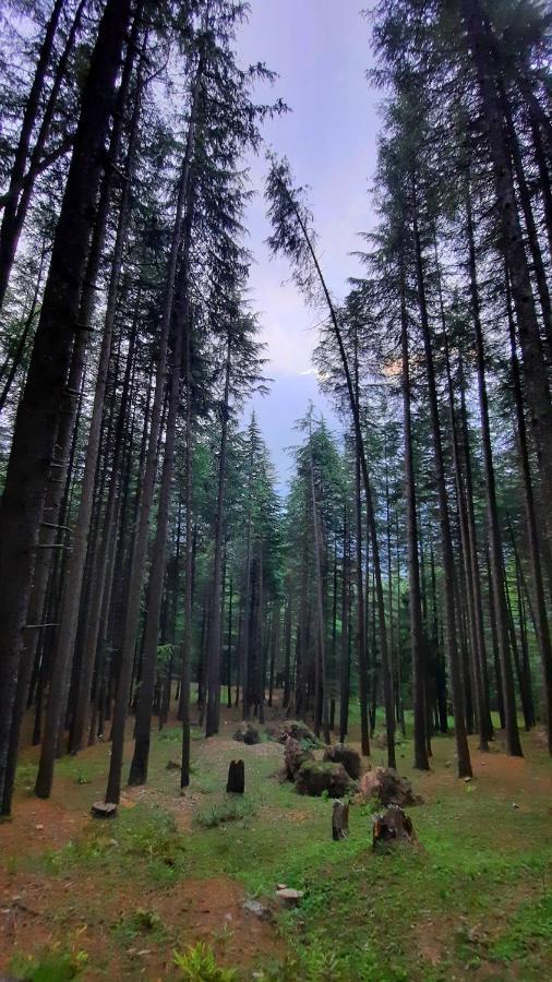 Karmic Stays & Cafe Hotel Manali (Himachal Pradesh)